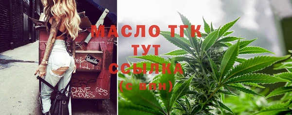 твердый Новодвинск
