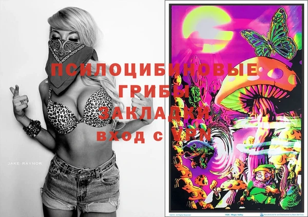 винт Арсеньев