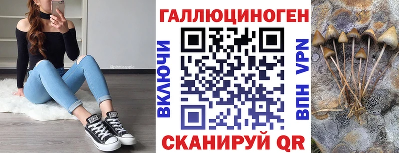 магазин продажи наркотиков  сайты даркнета клад  Галлюциногенные грибы мицелий  Бобров 